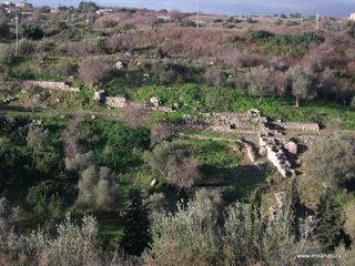 tapiccola-13-01-2013 09-13-25